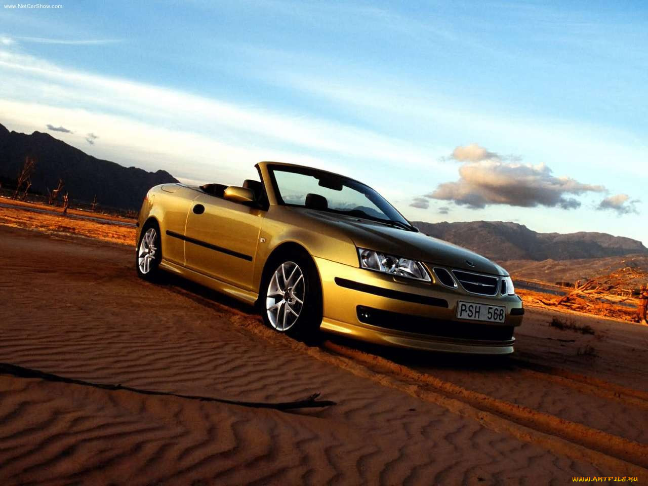 , saab